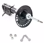 E43039DA0A - Suspension: Strut for Nissan: Maxima Image image