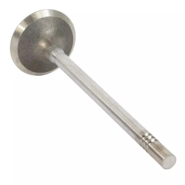 KT4Z6505B - : Exhaust Valve for Ford Image