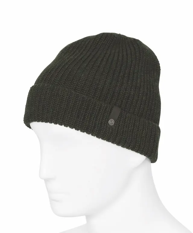 76618545563 - : Unisex BMW Motorrad Beanie - Green for BMW-Motorrad Image