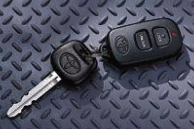 Vehicle Intrusion Protection - Toyota (PT398-42093)