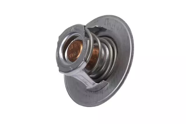10202456 - : F (S)Thermostat for GM Image