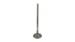 13711F0030 - Engine: Intake Valve for Toyota Image