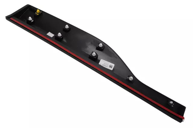 Rear Passenger Side Door Lower Molding - GM (42782315)