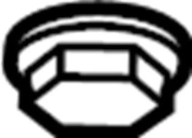 12412Y000 - Exhaust: Diffuser Nut for INFINITI: QX50, QX55 Image