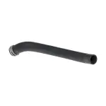 215039BT0B - : Radiator Coolant Hose for Nissan Image