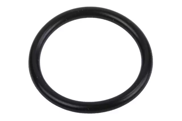 55570238 - : Water Pump Inlet Pipe Seal for Buick: Cascada Image
