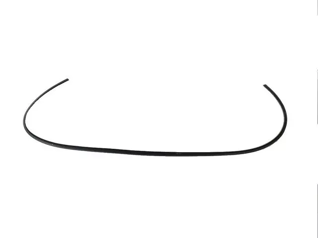 Front Door Body Mounted Weatherstrip, Right - Mopar (5116398AI)