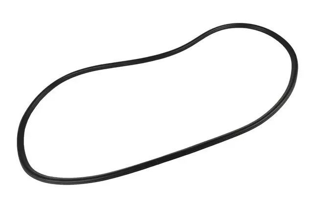 Front Side Door Weatherstrip - GM (42588069)