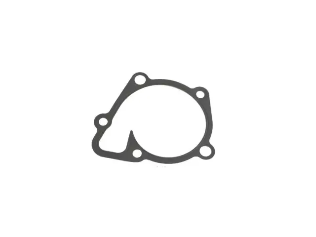 Water Pump Gasket - Mopar (68046028AA)