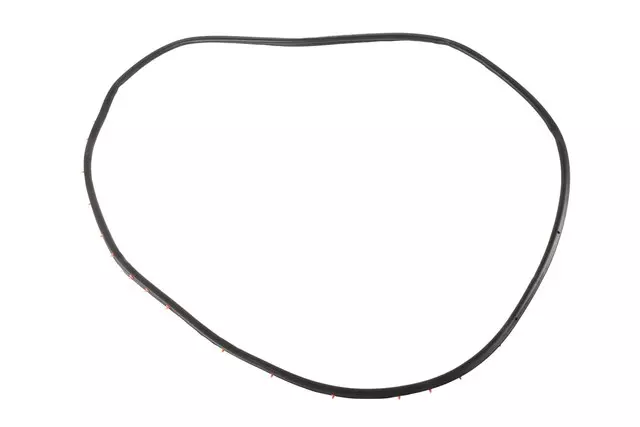 84228135 - : Door Weather-Strip for GM Image