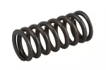12636319 - Engine: Engine Valve Spring for Buick: Encore | Chevrolet: Cruze, Equinox, Malibu, Spark, Trax, Volt | GMC: Terrain Image