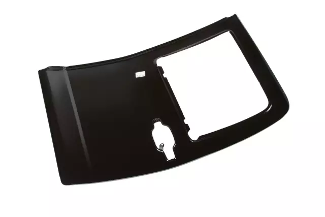 Passenger Side Rear Door Outer Panel - GM (15219052)