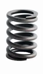 ERV1149 - : Engine Valve Spring for Enginetech Image