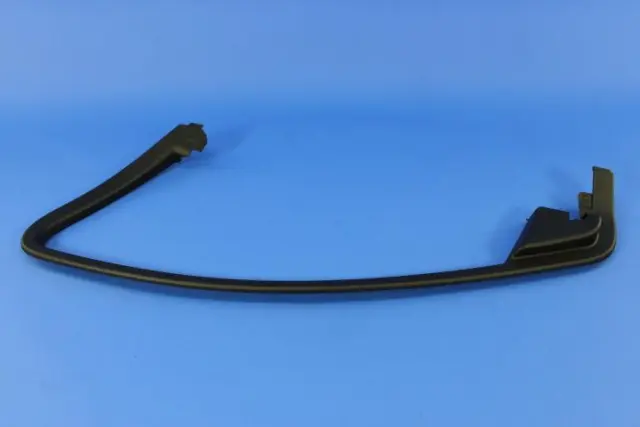 Front Door Molding, Right - Mopar (1YE89DX9AB)
