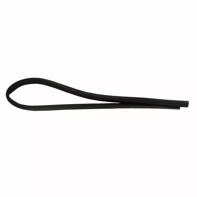 JL1Z7820758A - Body: Lower Weather-strip for Ford: Expedition | Lincoln: Navigator Image