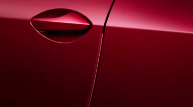Door Edge Guards - Caviar - Lexus (PT936-24170-02)