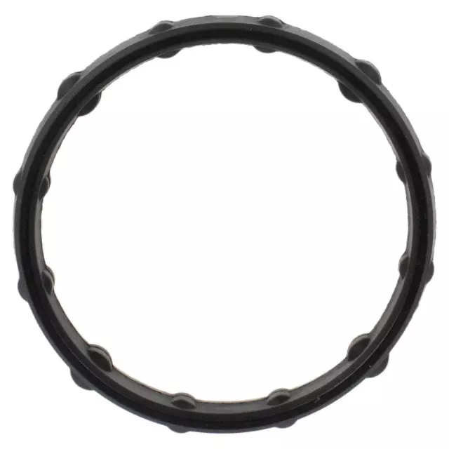 LC3Z6020A - : Gasket for Ford: E-350 Super Duty, E-450 Super Duty, F-250 Super Duty, F-350 Super Duty, F-450 Super Duty, F-550 Super Duty Image
