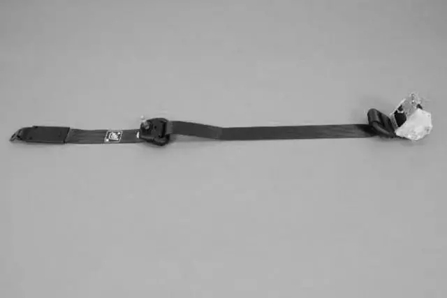 1RN00DX9AE - : Seat Belt for Mopar Image