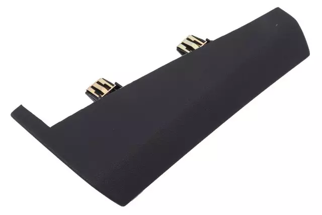 Trim Molding - GM (22888999)