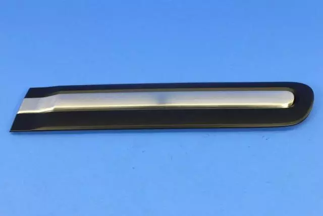 Rear Door Molding, Left - Mopar (5PE19U47AA)