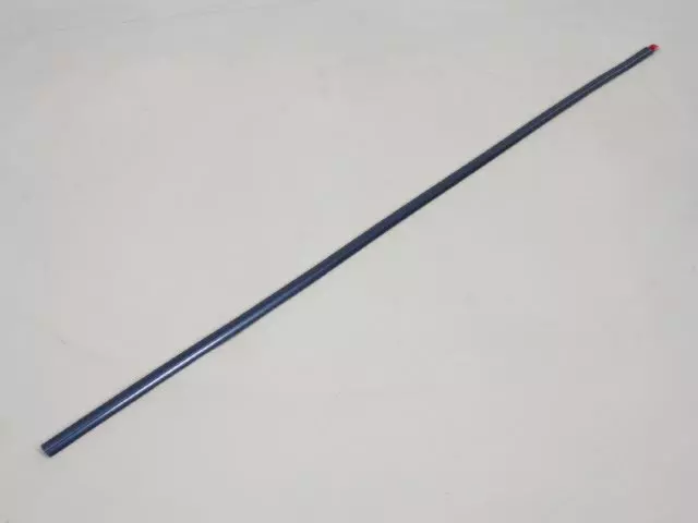 Front Door Molding - Mopar (1DH75CB6AB)