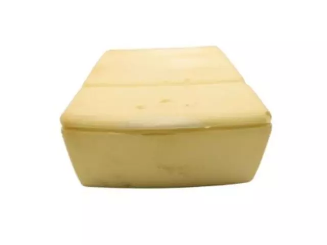 Seat Back Pad - Ford (5L3Z-1565478-AA)