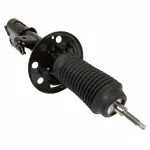 AST12276 - : Shock Absorber Assembly for Ford Image