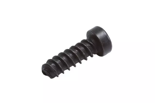 Front Seat Back Finish Panel Bolt - GM (92230415)