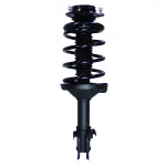 814232 - : PRT 814232 Suspension Strut and Coil Spring Assembly for PRT PERFORMANCE RIDE Image
