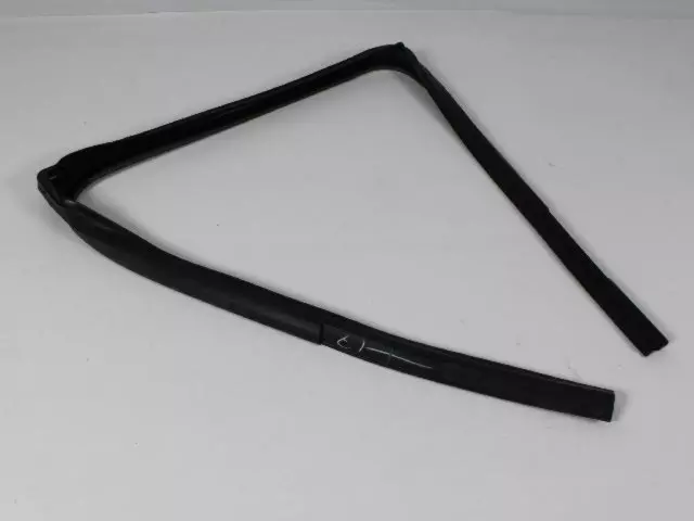 Rear Door Seal, Left - Mopar (55372137AH)