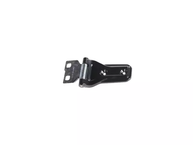 68302114AB - Body Sheet Metal Except Doors: Hood for Mopar Image