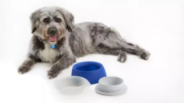 SOA854B001 - Interior: Pet Travel Bowl - Small for Chevrolet: Blazer Image