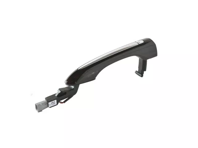 5RR20GUVAC - Body: Handle, Outside for Chrysler: Pacifica Image