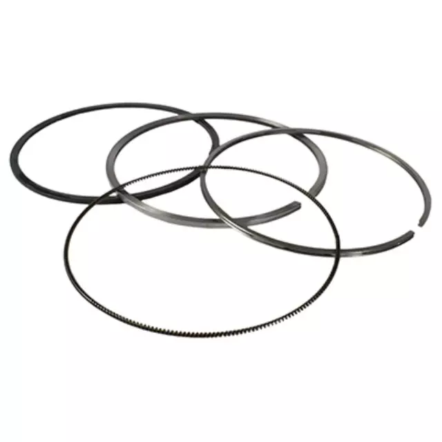 2011-2019 Ford - Piston Rings - Ford (HC3Z-6148-B)
