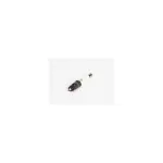 5614046 - Ignition: Part# 5614046 Spark Plug for Buick: Century, Skylark, Somerset, Somerset Regal | Chevrolet: Astro, Camaro, Celebrity, Citation II, LLV, Lumina, S10, S10 Blazer | GMC: Jimmy S15, S15, Safari, Sonoma | Oldsmobile: Calais, Cutlass Calais, Cutlass Ciera, Cutlass Cruiser | Pontiac: 6000, Fiero, Firebird, Grand Am Image