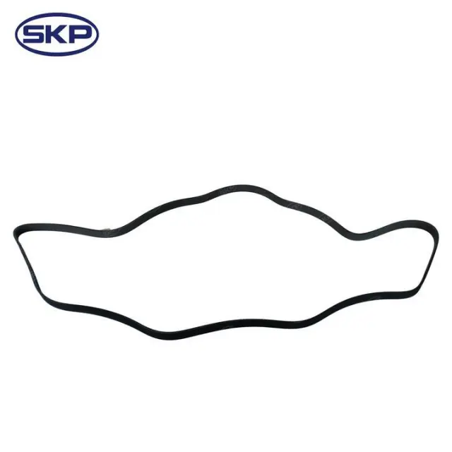 SK060935HD - Engines &amp; Components: SKP Serpentine Belt for Skyward Automotive Image