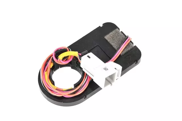 15219136 - Electrical: Theft Deterrent Module for GM Image