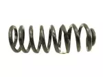 9L1Z5310L - Suspension: Coil Spring for Ford: Expedition | Lincoln: Navigator Image