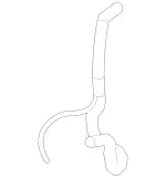 2215011584 - Radiator: Coolant Hose for Mercedes-Benz Image