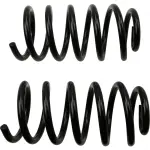 81647 - : Coil Spring Set for Moog Image