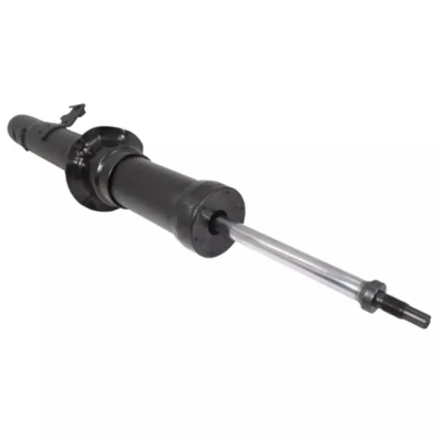 Shock Absorber Assembly - Ford (AST-162)