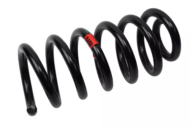 Rear Coil Spring - GM (23144009)