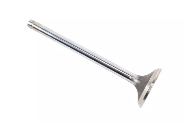 Valve-Exh - GM (12617048)