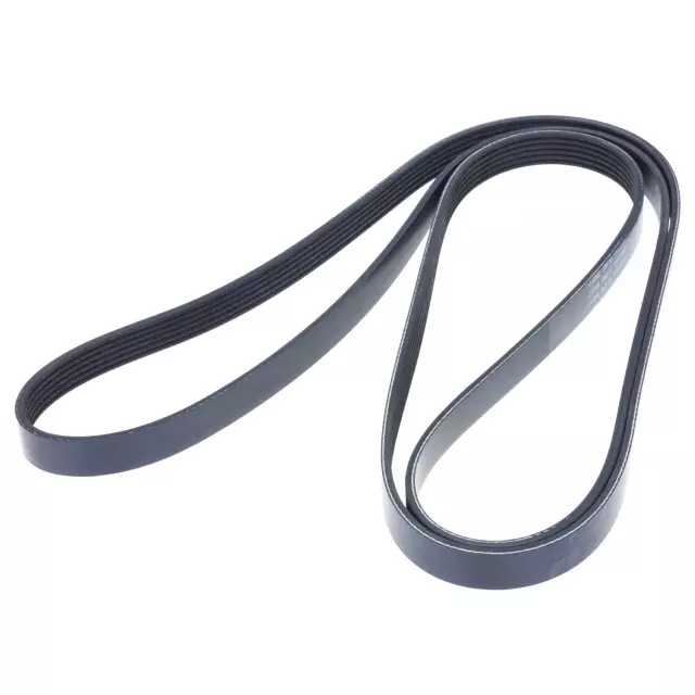 FB6K969 - Engines &amp; Components: INA US Serpentine Belt for INA US Image