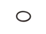68722519AA - : Sensor O Ring for Mopar Image