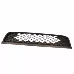 AR3Z17K945AA - : Lower Grille for Ford: Mustang Image