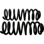 81736 - : Front Coil Spring Set for Moog Image