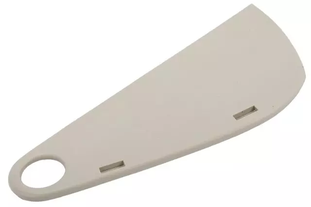 25900171 - Body: Latch Outer Cover for GM Image