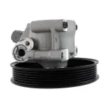 STP339 - : Pump Assembly Power Steering for Ford Image