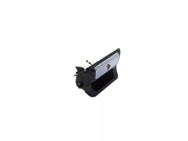 6RN811BUAA - Body: Tailgate Handle for Mopar Image